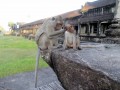 Angkor Wat