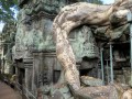 Ta Prohm,  Angkor Thom