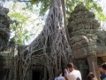 Ta Prohm,  Angkor Thom