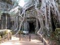 Ta Prohm,  Angkor Thom