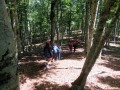 Monte Arioso