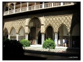 Reales Alcazares - Siviglia