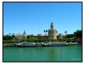 Torre dell'Oro - Siviglia