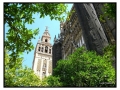 La Giralda - Siviglia
