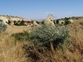 Gomeda Valley-Kapadokia