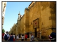 Mezquita - Cordova