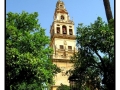 Mezquita - Cordova