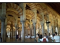 Mezquita - Cordova