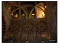 Mezquita - Cordova