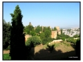 Alhambra - Granada