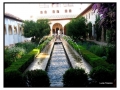 Alhambra - Granada