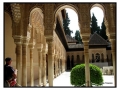 Alhambra - Granada