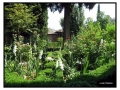 Alhambra - Granada