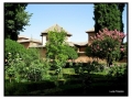 Alhambra - Granada