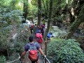 Vallone del Tuorno di Savoia di Lucania