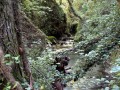 Vallone del Tuorno di Savoia di Lucania
