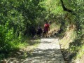 Il percorso delle  sette pietre