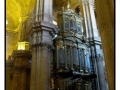 Cattedrale - Malaga