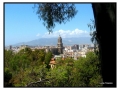 Malaga
