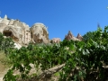 Meskendir Valley - Kapadokia