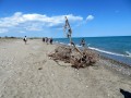 Oasi WWF Pantano di Policoro