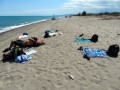 Oasi WWF Pantano di Policoro