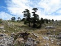 Parco Nazionale del Pollino