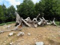Parco Nazionale del Pollino