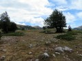 Parco Nazionale del Pollino