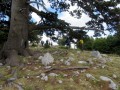 Parco Nazionale del Pollino