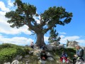 Parco Nazionale del Pollino
