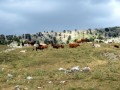 Parco Nazionale del Pollino