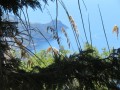 Panorama - Maratea