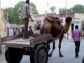 Mandawa