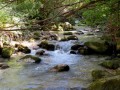 Ponte del Vallone -Valle dell'Orfento