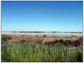 Le Saline di Aigues Mortes