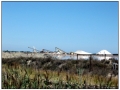 Le Saline di Aigues Mortes