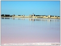 Le Saline di Aigues Mortes