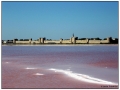 Le Saline di Aigues Mortes