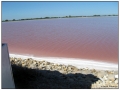 Le Saline di Aigues Mortes