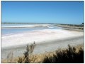 Le Saline di Aigues Mortes