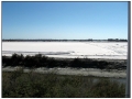 Le Saline di Aigues Mortes