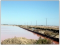 Le Saline di Aigues Mortes