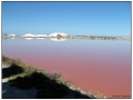 Le Saline di Aigues Mortes