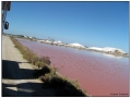 Le Saline di Aigues Mortes