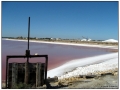 Le Saline di Aigues Mortes