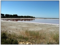 Le Saline di Aigues Mortes