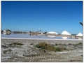 Le Saline di Aigues Mortes