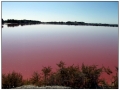 Le Saline di Aigues Mortes