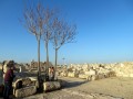 Amman, Cittadella